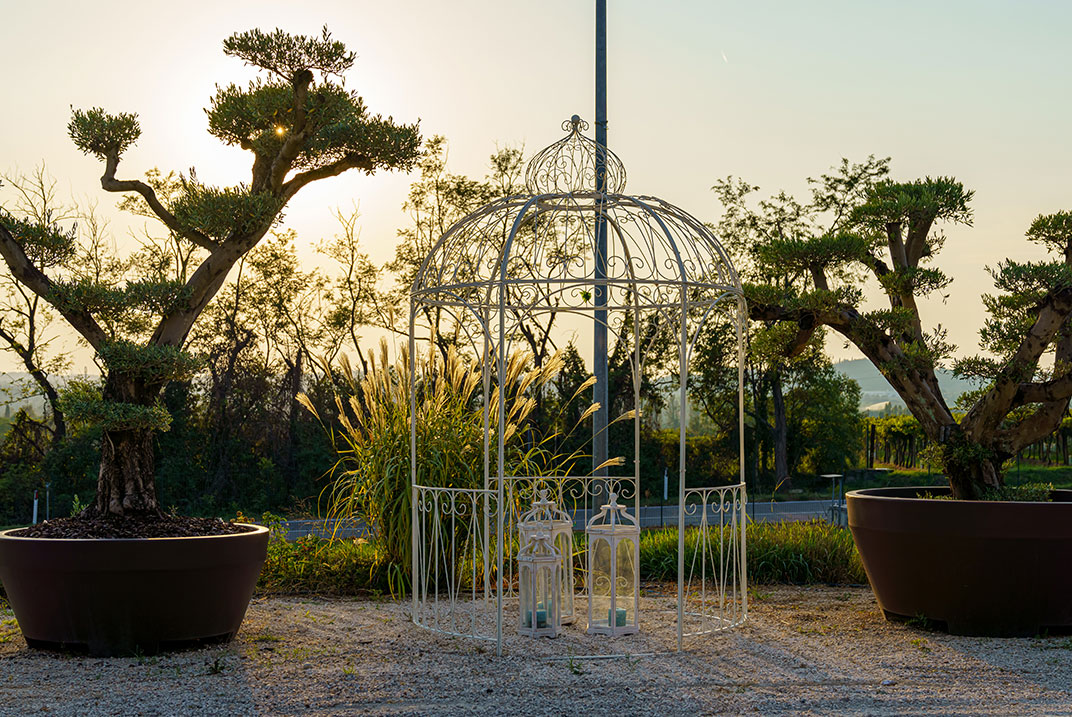 Foto dell'allestimento del matrimonio